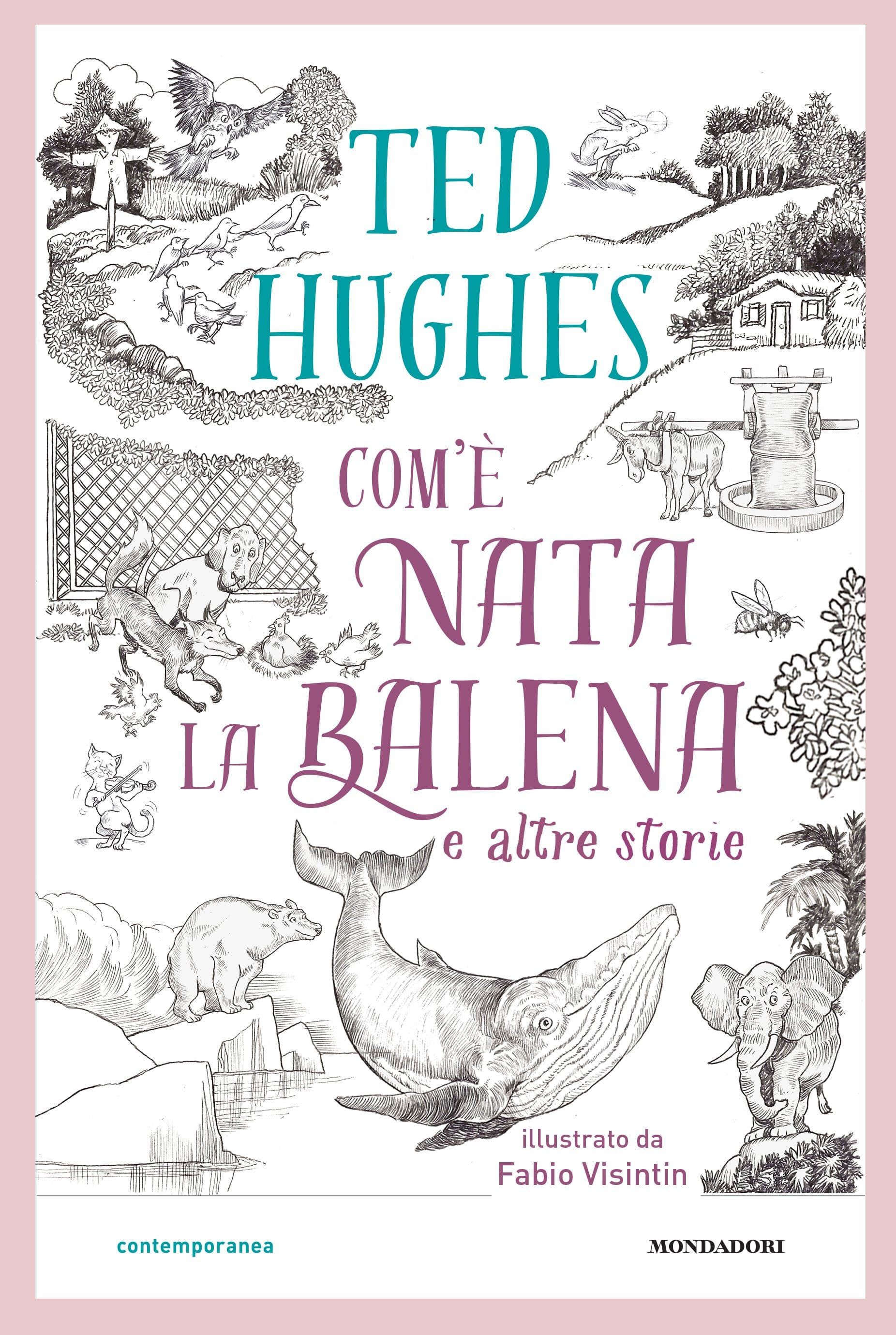 Com'è nata la balena