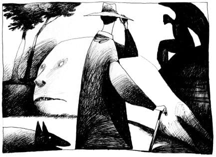 Illustrations for Animals magazine